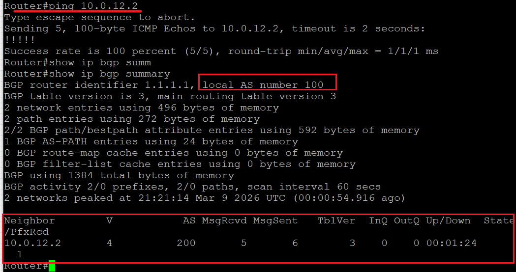 2-ping and bgp summary.png