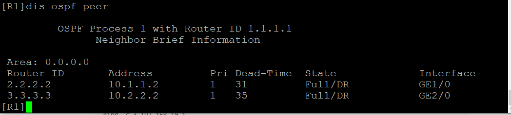 4-ospf peer.png