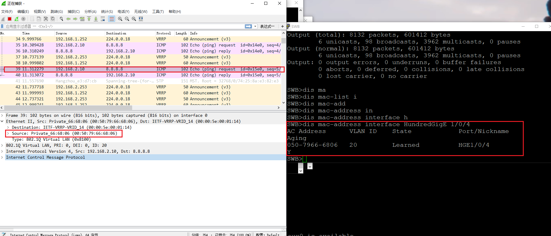 8-ping packet.png